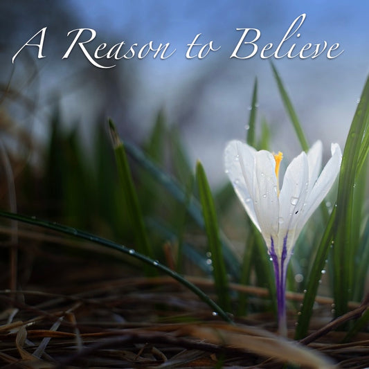A Reason to Believe - Kristin
