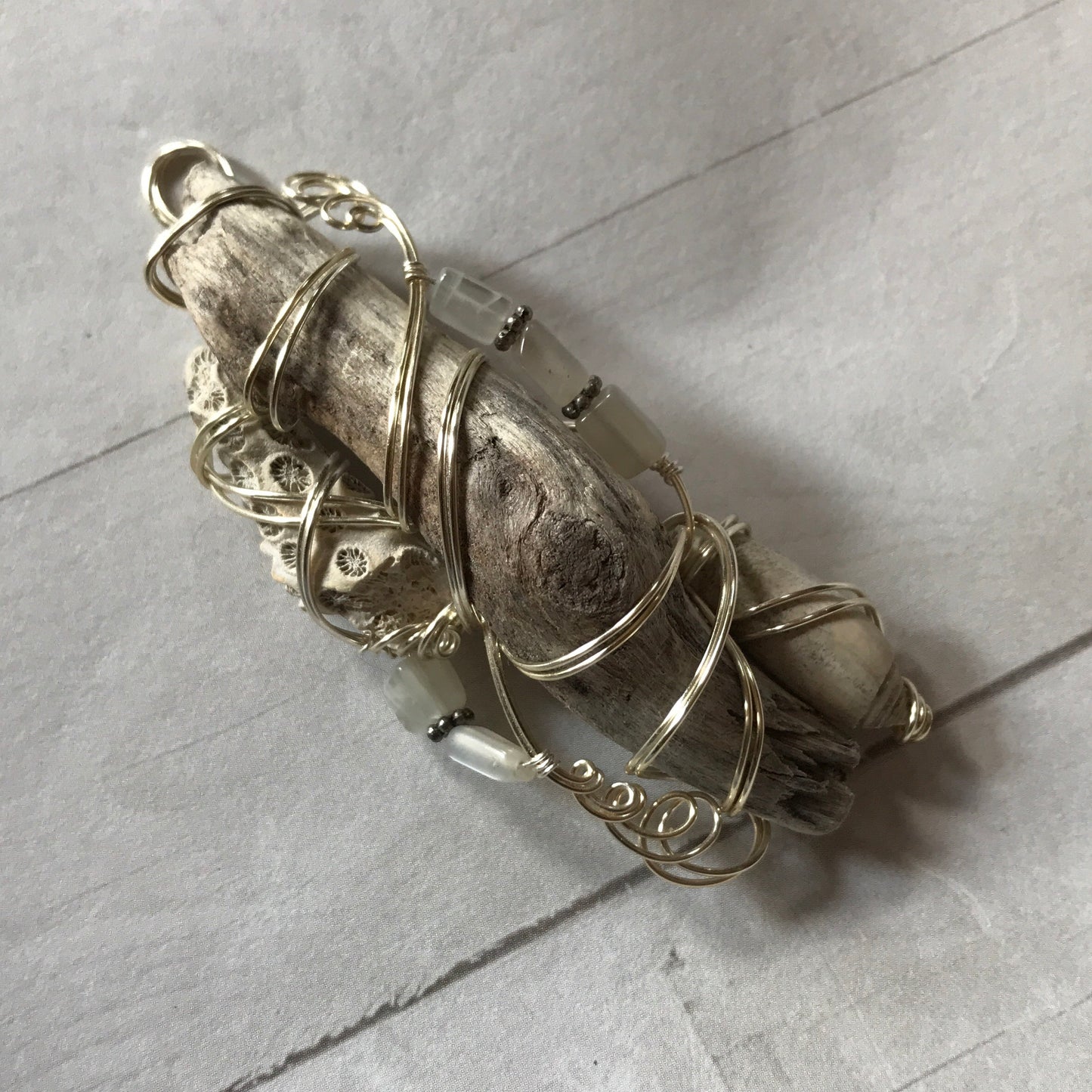 Personal Collection: driftwood and shell