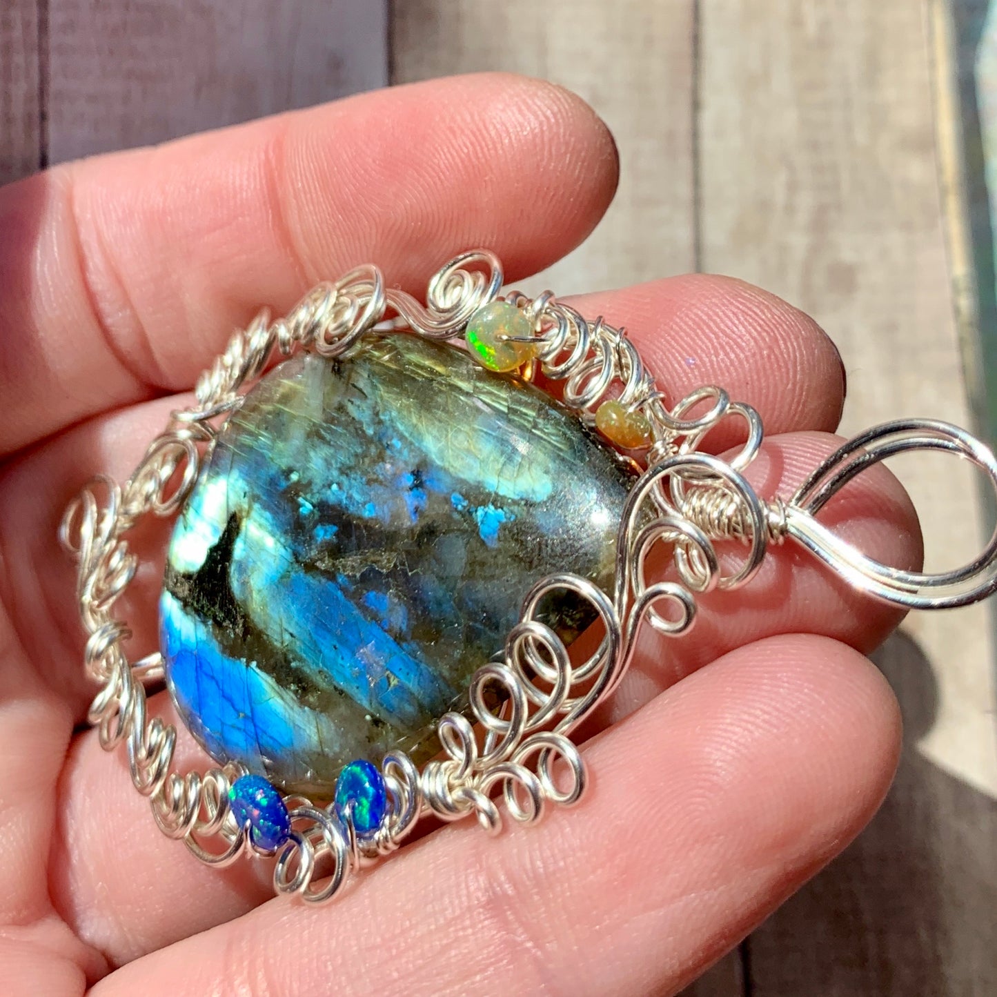 Two Sides Of The Story, As Told By A Sparrow