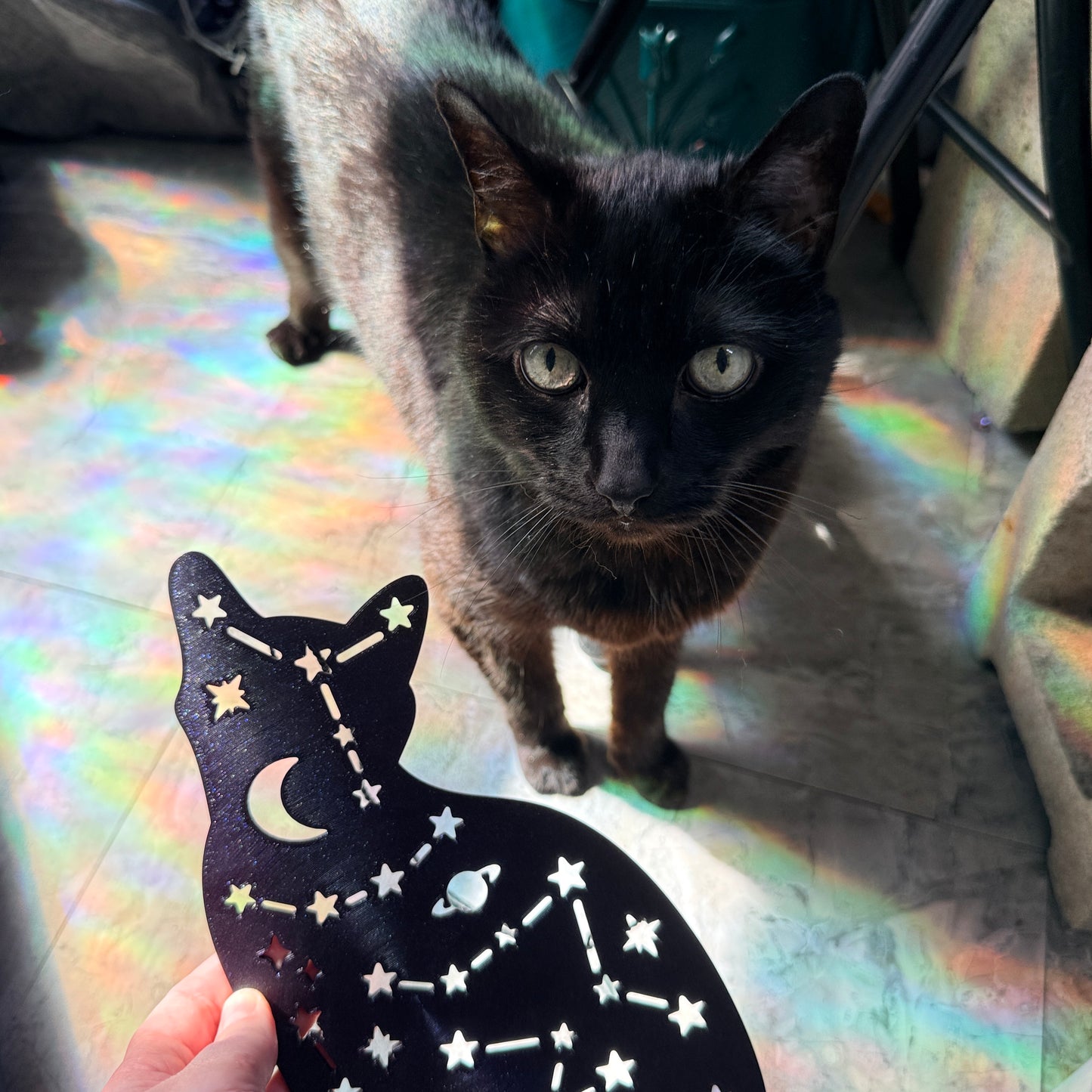 Celestial Kitty Jewelry Holder
