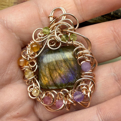 Secrets in the Sunset