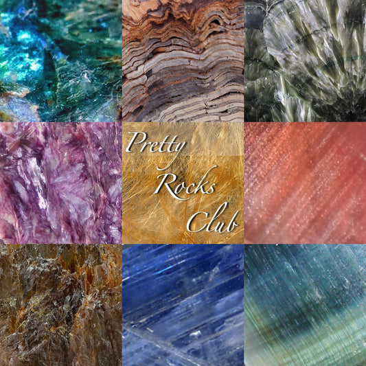 Pretty Rocks Club 2025 *