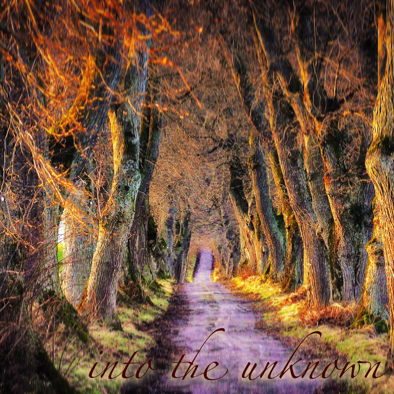 into the unknown - Sarah L
