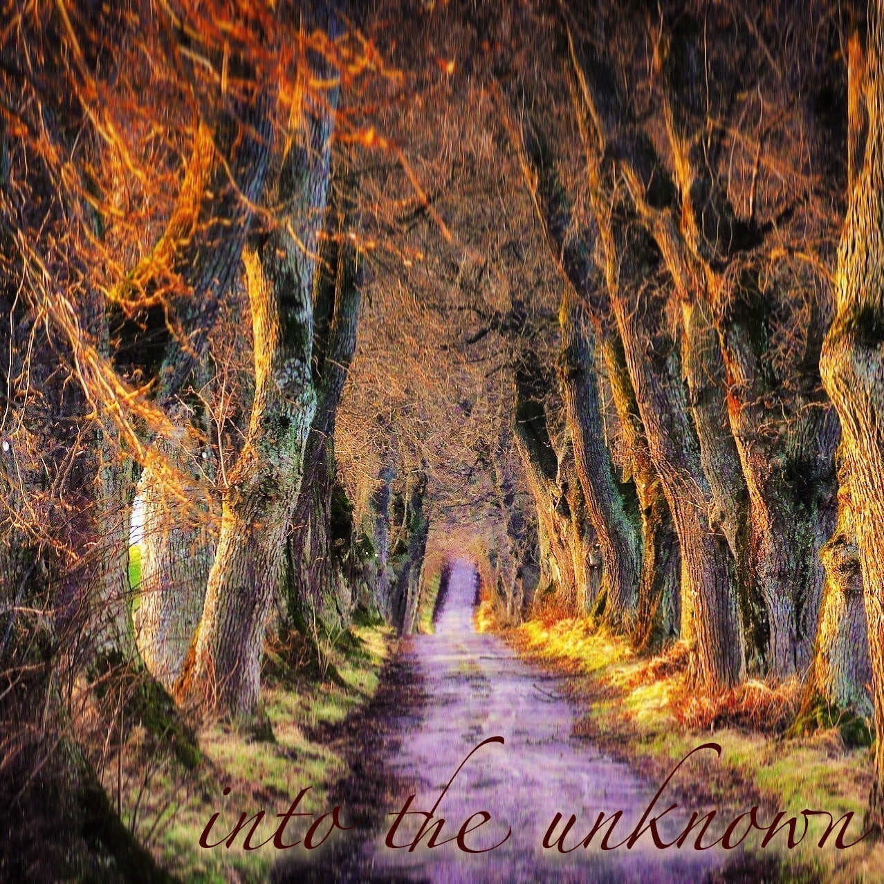 into the unknown - Corinna